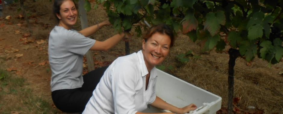 A short film of the 2014 Harvest at Polgoon