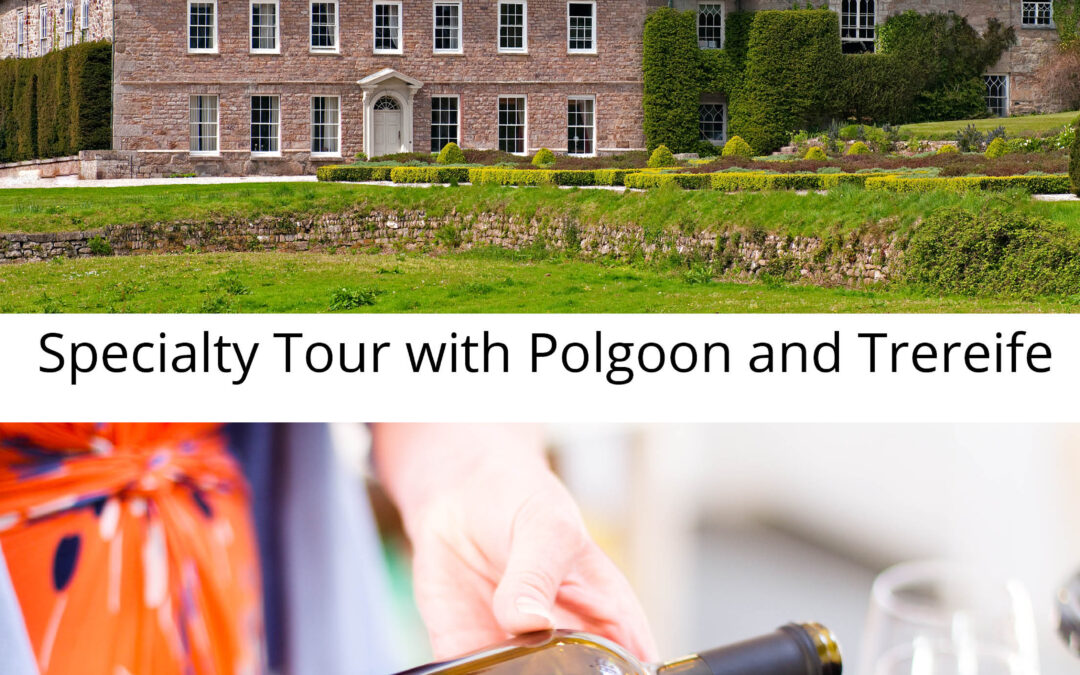 Website imafe specialty tour