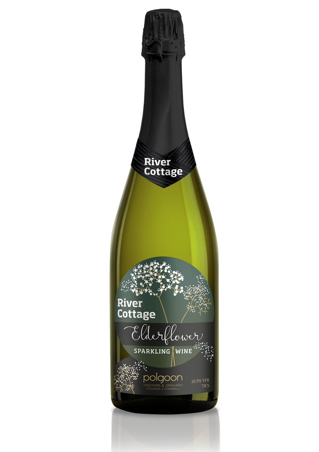 River Cottage Sparkling Elderflower Wine Recipe Dandk Organizer