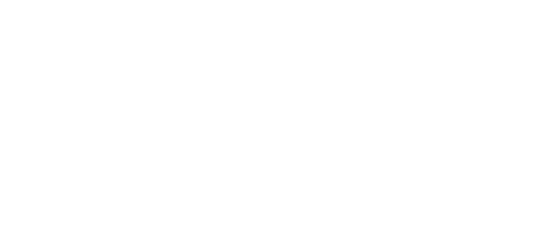 Polgoon