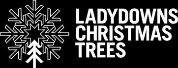CHRISTMAS TREES AT POLGOON