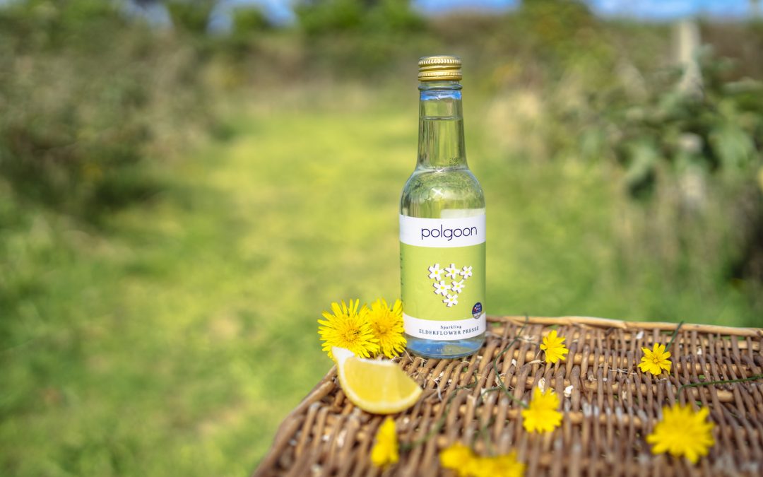 VEGANUARY AT POLGOON