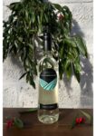 2023 Sauvignon Blanc