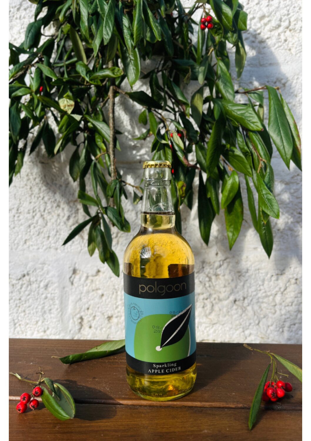 Mixed Cider Case (500ml, Case of 12)