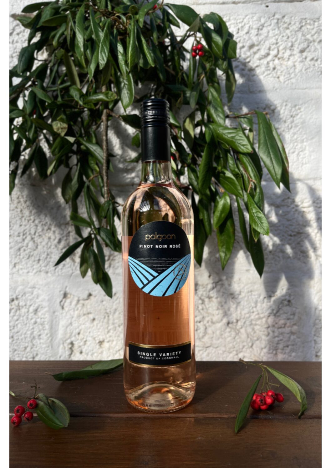 2022 Pinot Noir Rosé