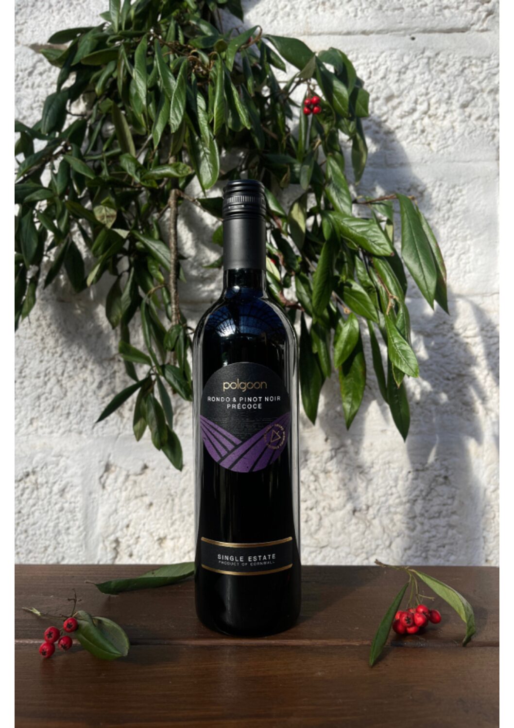 2023 Rondo & Pinot Noir Précoce