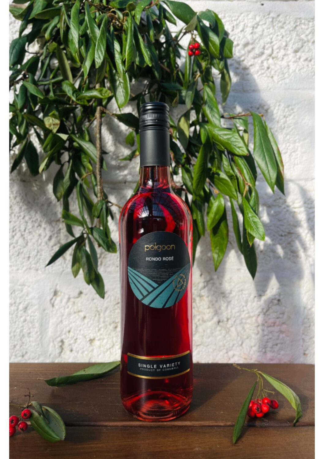 2023 Rondo Rosé