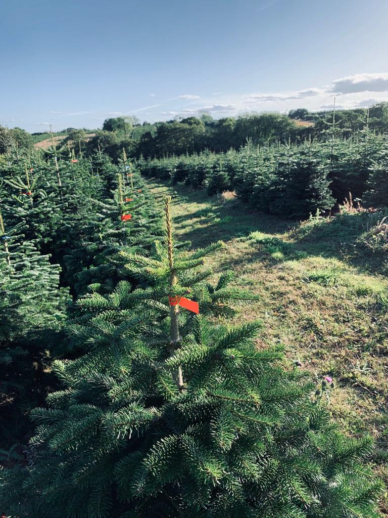 IMG-20190919-WA0009