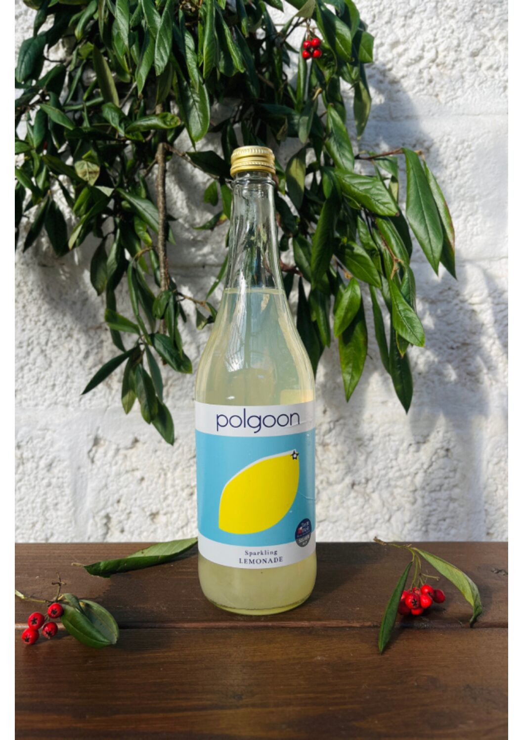 Lemonade (Case of 12 x 250ml)