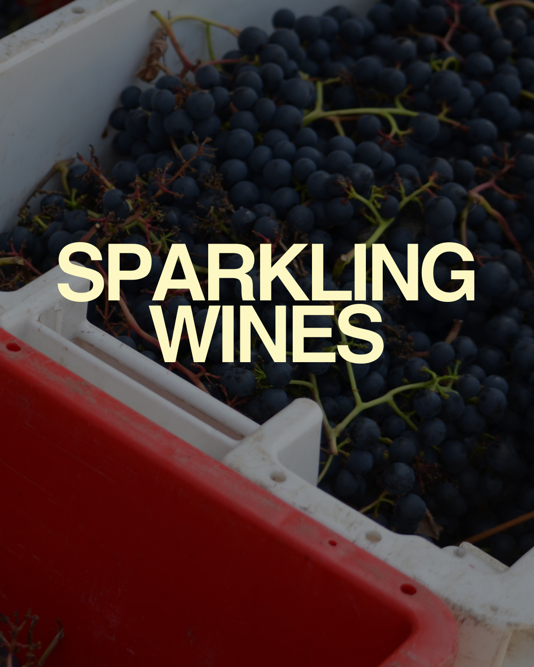 2 Boxes of grapes with large writing saying Sparkling wines